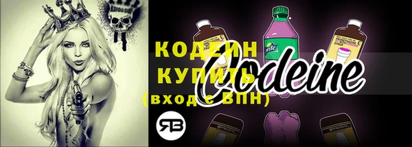 ПСИЛОЦИБИНОВЫЕ ГРИБЫ Белокуриха