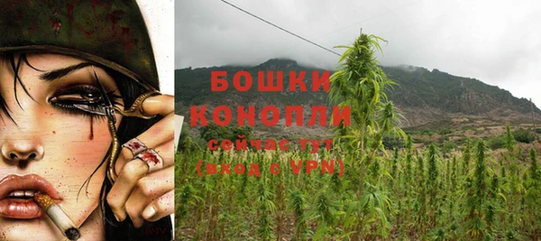 ПСИЛОЦИБИНОВЫЕ ГРИБЫ Белоозёрский